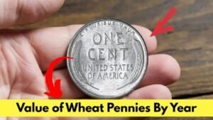 The Value of Wheat Pennies By Year A Collector’s Guide